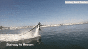 GIF by HLN