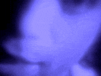 blue light prince GIF
