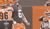 Regular Season Football GIF by NFL