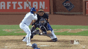 Ny Mets Baseball GIF by New York Mets