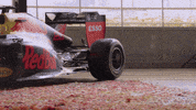 Red Bull F1 GIF by Red Bull Racing