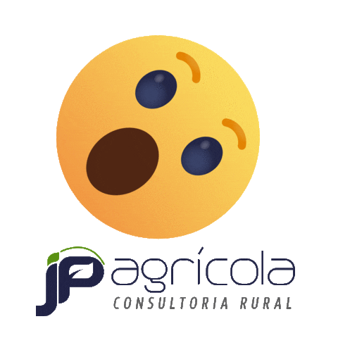 jp_consultoria giphyupload jp maranhao paragominas Sticker