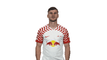 Rb Leipzig Thumbs Up Sticker by Bundesliga
