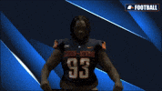 Cnfb GIF by Carson-Newman Athletics