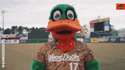 Baseball Texas GIF by Down East Wood Ducks