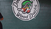 Dewd GIF by Down East Wood Ducks