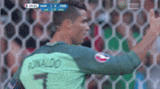 euro 2016 ronaldo GIF by Sporza