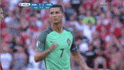 euro 2016 ronaldo GIF by Sporza