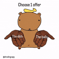 Capybara Choose GIF
