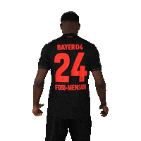 Bayer 04 Football Sticker by Bayer 04 Leverkusen