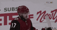 nhl sports hockey hug nhl GIF