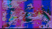 Video Art GIF by cskonopka