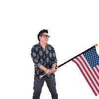 Usa Nacho Sticker by BOBO