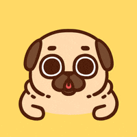 GIF by Puglie Pug