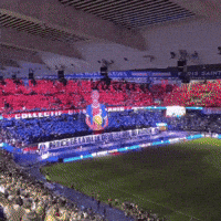 Parc Des Princes Psg GIF