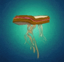 Jellyfish GIF