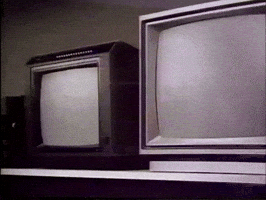 Found Footage Vhs GIF by Preston Spurlock