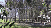 Climate Change Environment GIF by Western Sydney U