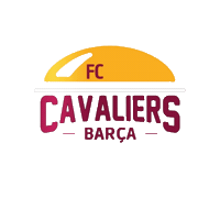 Sticker by Liga Metropolitana de Futsal