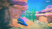 Pokemon Snap GIF by Pokémon