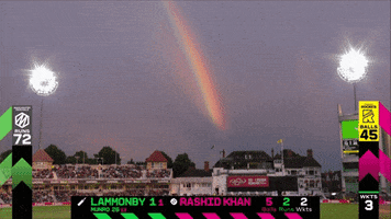 Cricket GIF by The Hundred