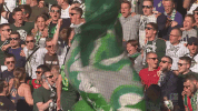 bundesliga werder GIF