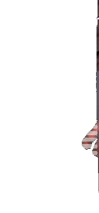 Tusspenge Spengstoff Sticker by frankniedertubbesing