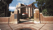 Uf Ufcoe GIF by University of Florida College of Education