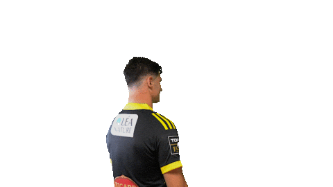 Sport Celebration Sticker by Stade Rochelais