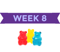 Pregnancy Baby Size Sticker by What to Expect