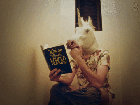 SofiaInternationalFilmFestival giphyupload horse book unicorn GIF