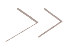 Arrow Seta Sticker