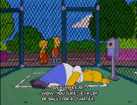 homer simpson episode 3 GIF