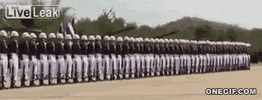 wave GIF