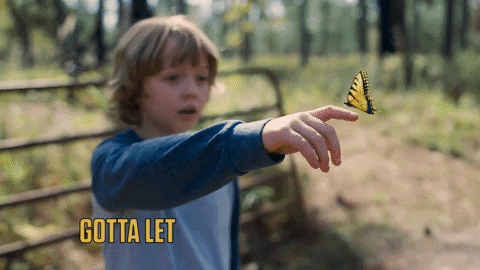 TheAvenue_Film giphyupload florida butterfly sadness GIF