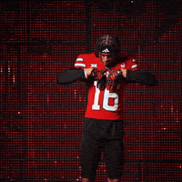 Red Raiders GIF by Texas Tech Football