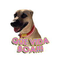 Sofia Felicidade Sticker by Agencia Infuse