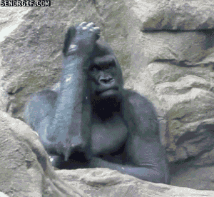 Thinking Gorilla GIF