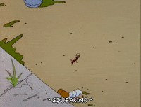 season 6 GIF