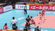 GIF by Volleyball World