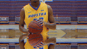 Basketball GIF by Hofstra Pride