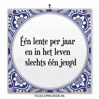 Humor Wijsheid GIF by Tegelspreuken.nl