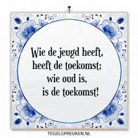 Nl Wijsheid GIF by Tegelspreuken.nl