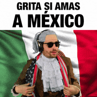 Bandera Mexicana Orgullo Nacional GIF