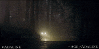 blake lively love GIF by The Age of Adaline