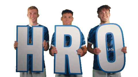 Soccer Bundesliga Sticker by F.C. Hansa Rostock