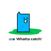 dhoni wicket Sticker by Nestaway