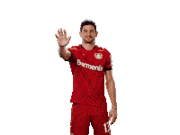 Waving Bayer 04 Sticker by Bayer 04 Leverkusen