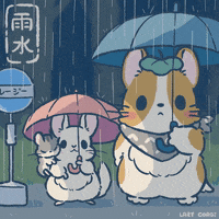Welsh Corgi Puppy GIF by Lazy Corgi