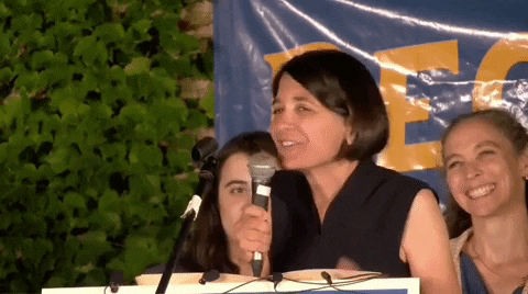 Vermont GIF by GIPHY News